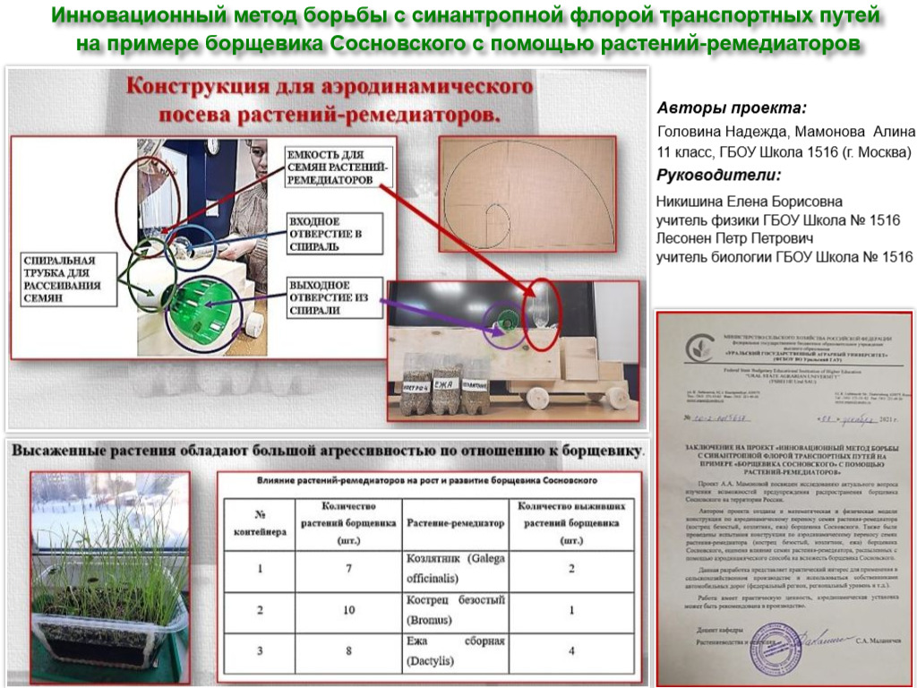 Инновационный метод борьбы с синантропной флорой транспортных путей на примере борщевика Сосновского с помощью растений-ремедиаторов