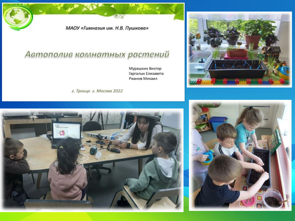 Автополив комнатных растений