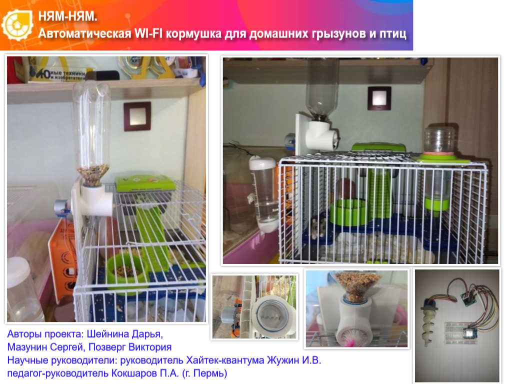 НЯМ-НЯМ. АВТОМАТИЧЕСКАЯ WI-FI КОРМУШКА ДЛЯ ДОМАШНИХ ГРЫЗУНОВ И ПТИЦ